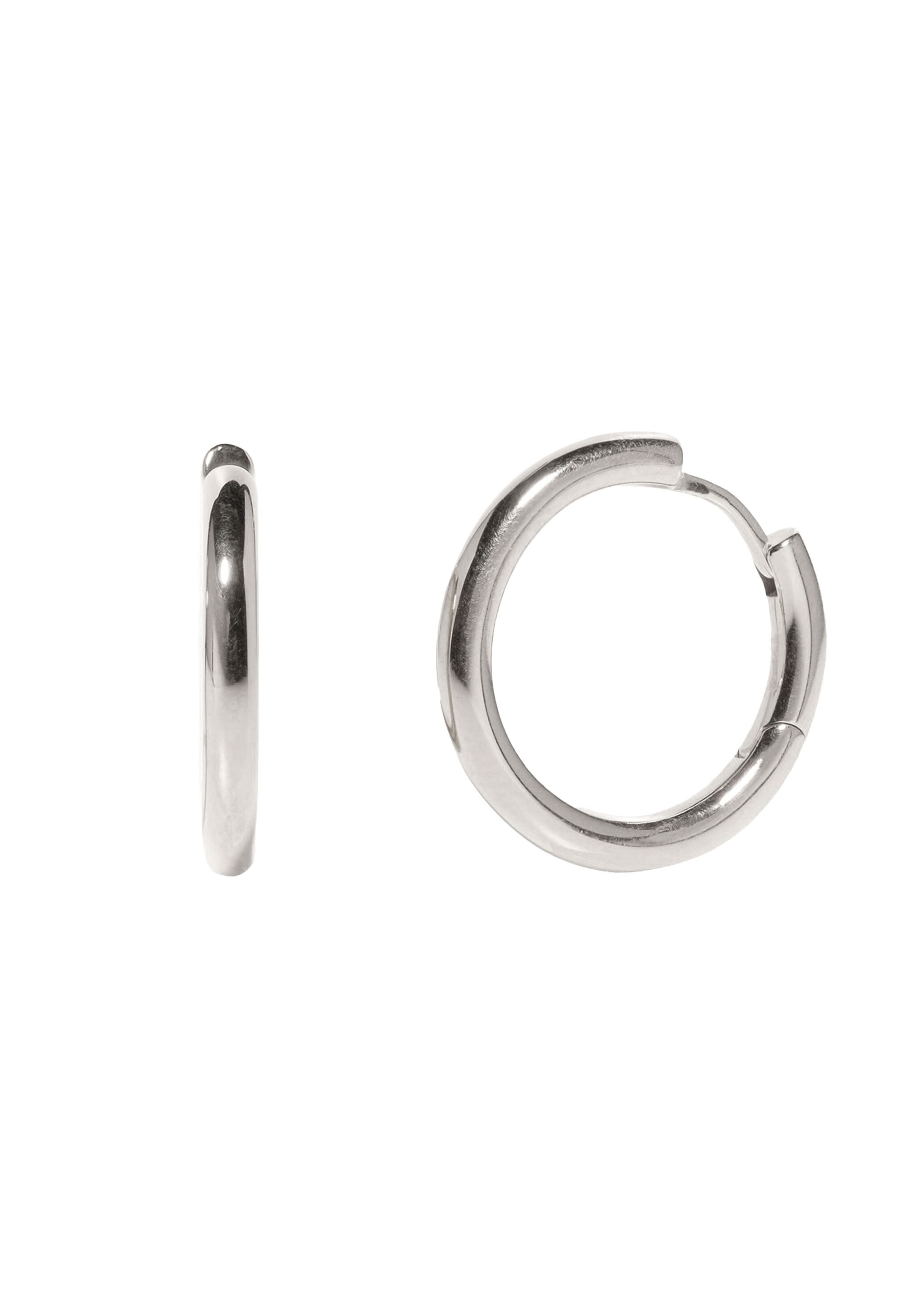 Stilnest Earrings in Silver: front