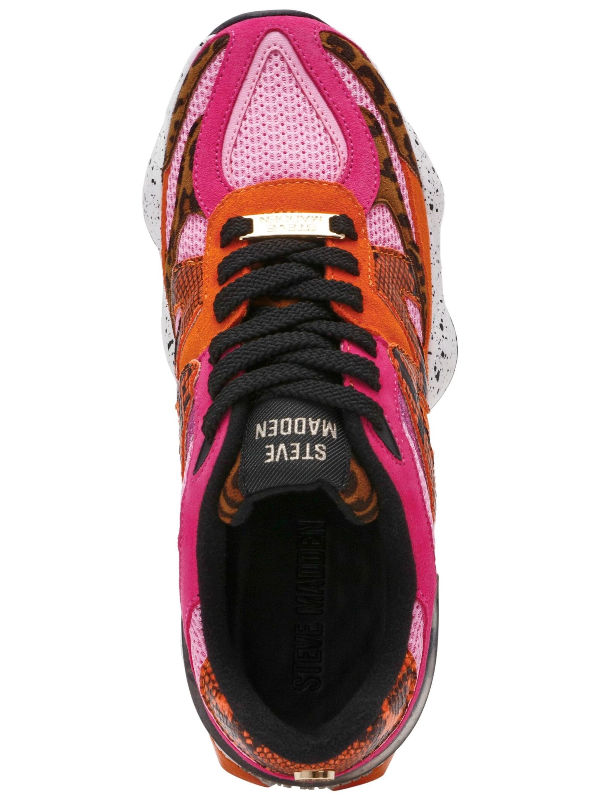 Baskets basses STEVE MADDEN en mélange de couleurs