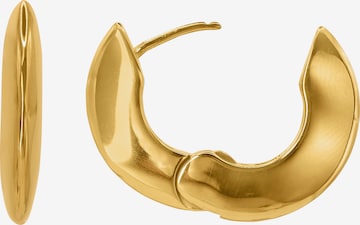 Heideman Earrings 'Frugi ' in Gold