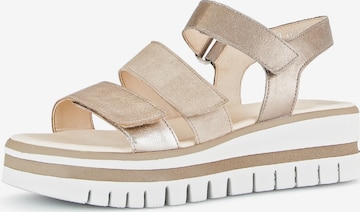 GABOR Sandals in Beige: front