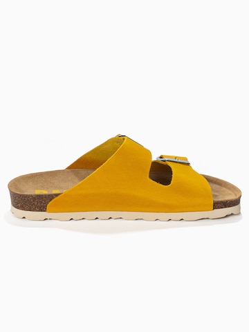 Bayton Μιούλ 'Atlas' σε κίτρινο