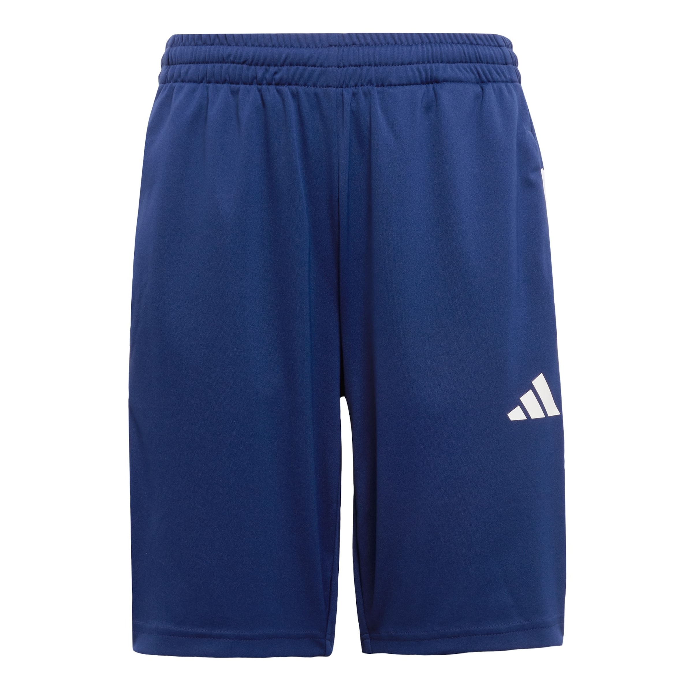 ADIDAS SPORTSWEAR - regular Pantalón deportivo 'Essentials' en azul: frente