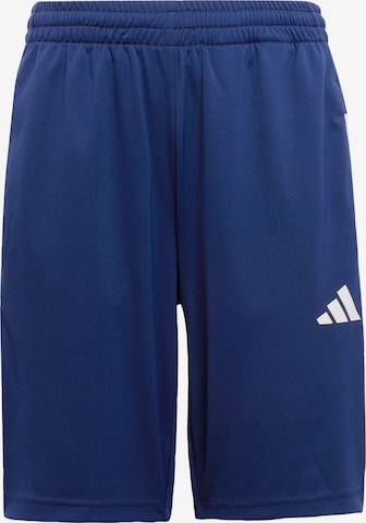 ADIDAS SPORTSWEAR - regular Pantalón deportivo 'Essentials' en azul: frente