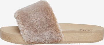 SCHOLL Clogs 'WILLOW FLAT' in Beige: front