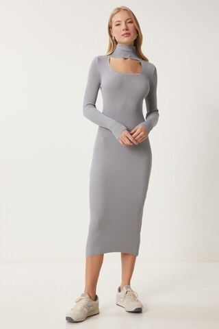 Happiness İstanbul Kleid in Grau