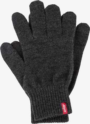 Gants 'Ben' LEVI'S ® en gris : devant