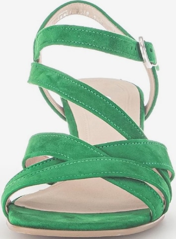 GABOR Strap Sandals in Green