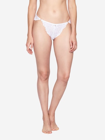 Slip ' Charming ' JOOP! en blanc : devant