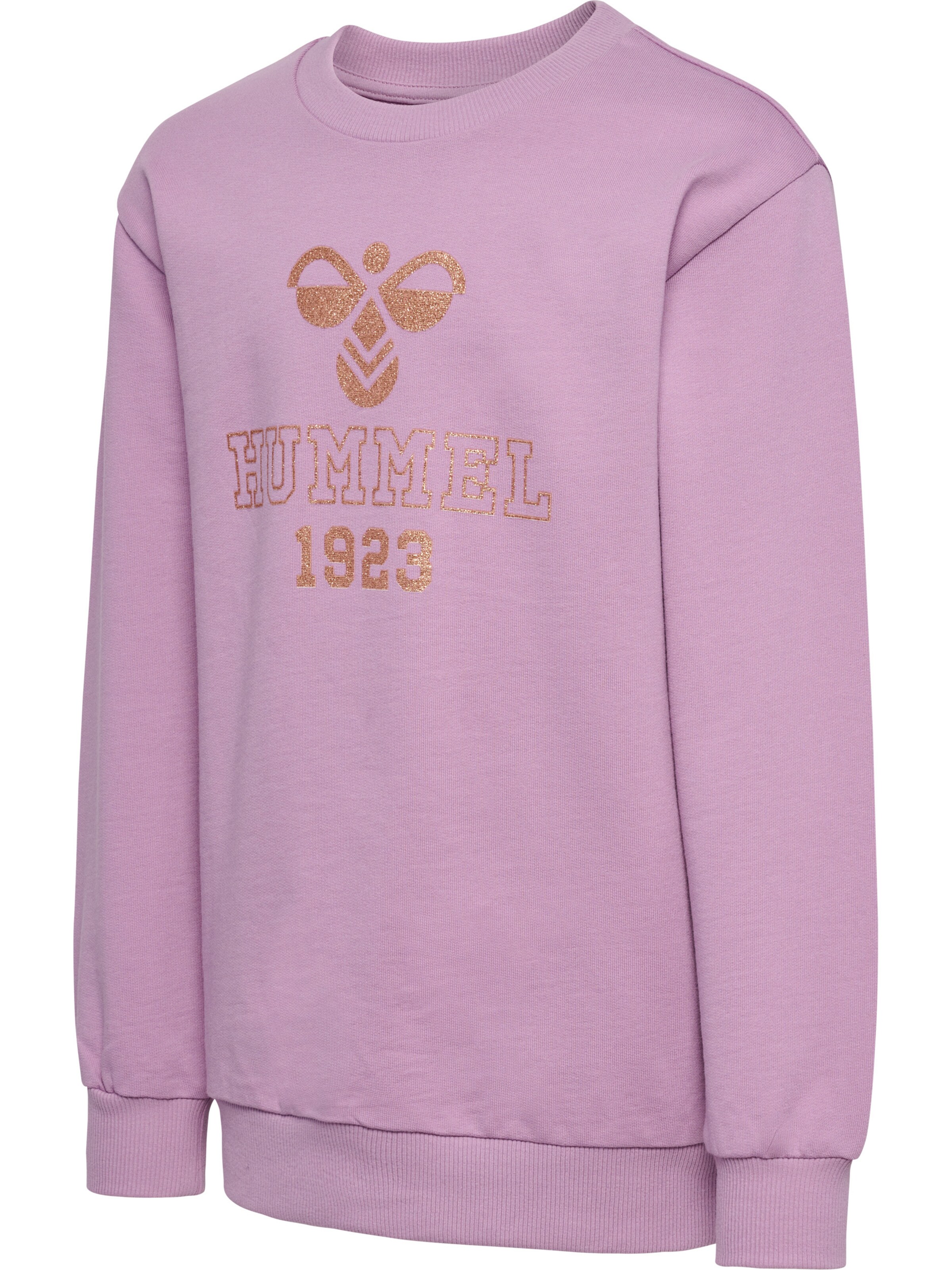 Hummel Sweatshirt in Lila