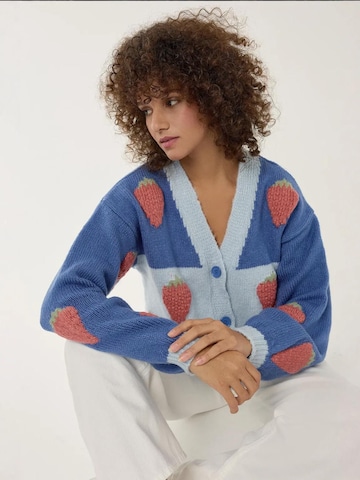 Hiccup Strickjacke in Blau