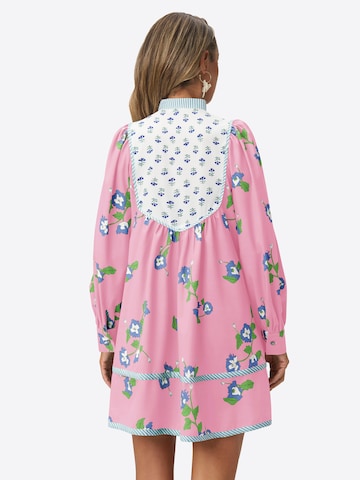 rozā Imily Bela Kleita: no aizmugures