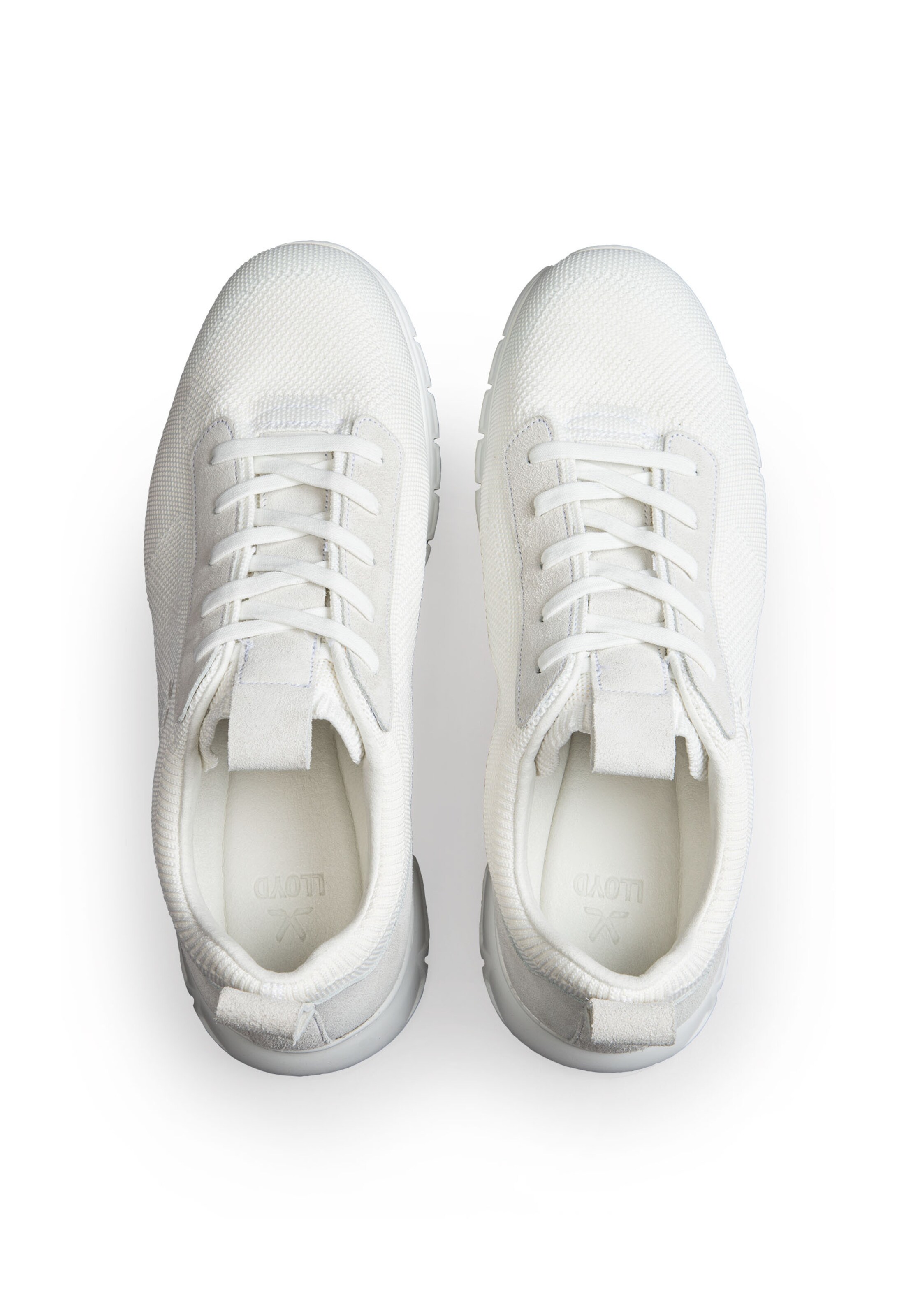 Baskets basses 'URBAN' LLOYD en blanc