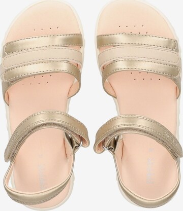 GEOX Sandals in Gold