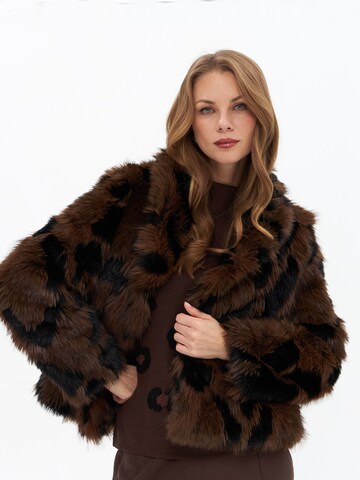 Passioni Winter Jacket in Brown