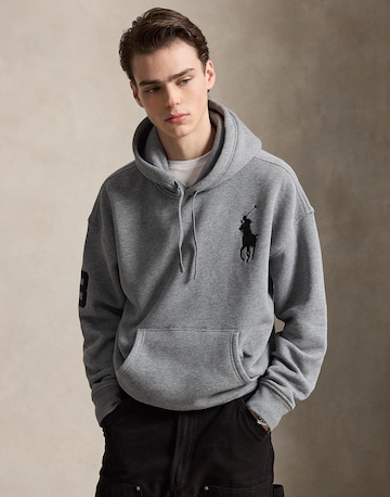 Polo Ralph Lauren Sweatshirt i grå: forside