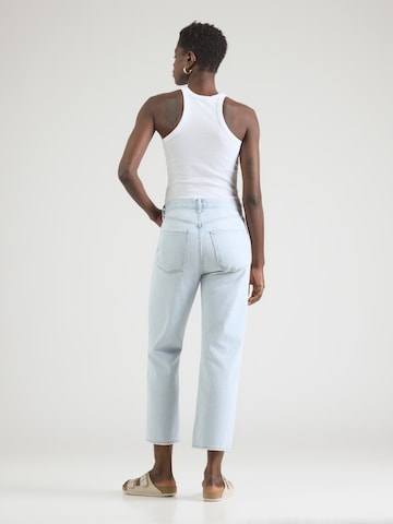 AGOLDE Regular Jeans in Blue