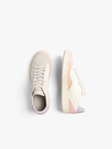 Scalpers Sneaker low in Mischfarben