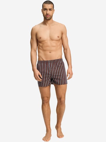 Hanro Boxershorts ' Fancy Woven ' in Blauw