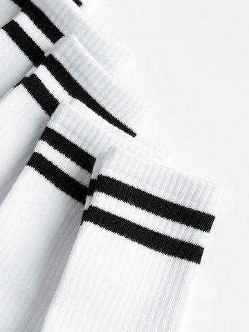 Șosete de la NoWear pe alb