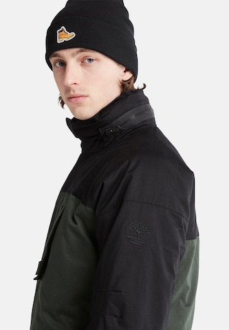 Veste mi-saison TIMBERLAND en vert