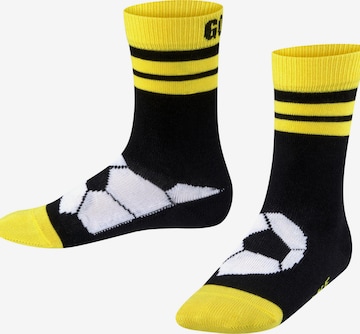 FALKE Socken 'Active Soccer' in Schwarz: Vorderseite