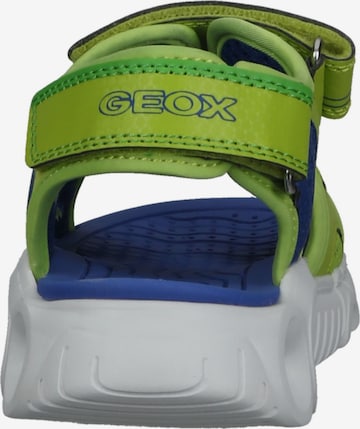 Calzatura aperta di GEOX in verde