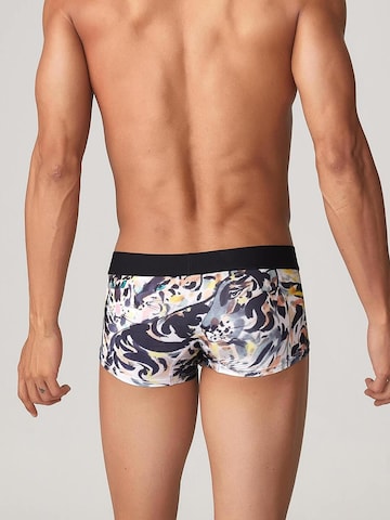 SEOBEAN Boxer shorts 'Tiger' in Grey