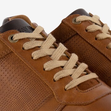 Travelin Sneakers 'Worcester' in Brown