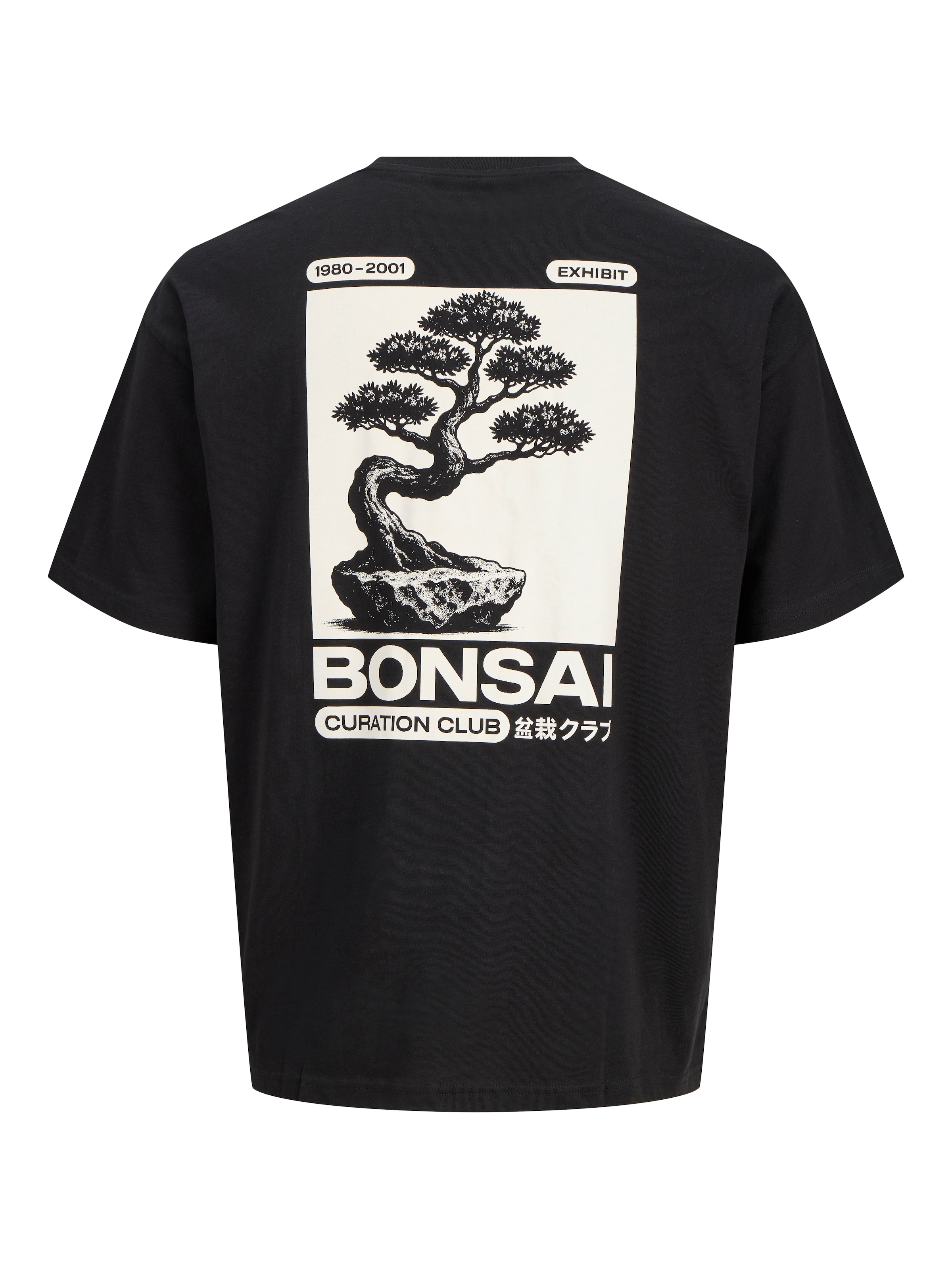 JACK & JONES T-Shirt 'JJDYLAN' in Schwarz