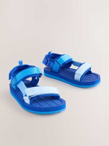 Next Open schoenen in Blauw