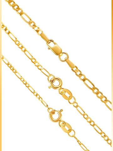 NTHIRTYTHREE Necklace 'Goldkette 14 Karat Gold Figaro Stil 585 Echtgold 45cm-60cm Halskette - Bestpreis - Damen Herren mit Schmuckbox - Sale 31.08.2026' in Gold: front