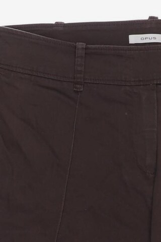 OPUS Shorts XL in Braun