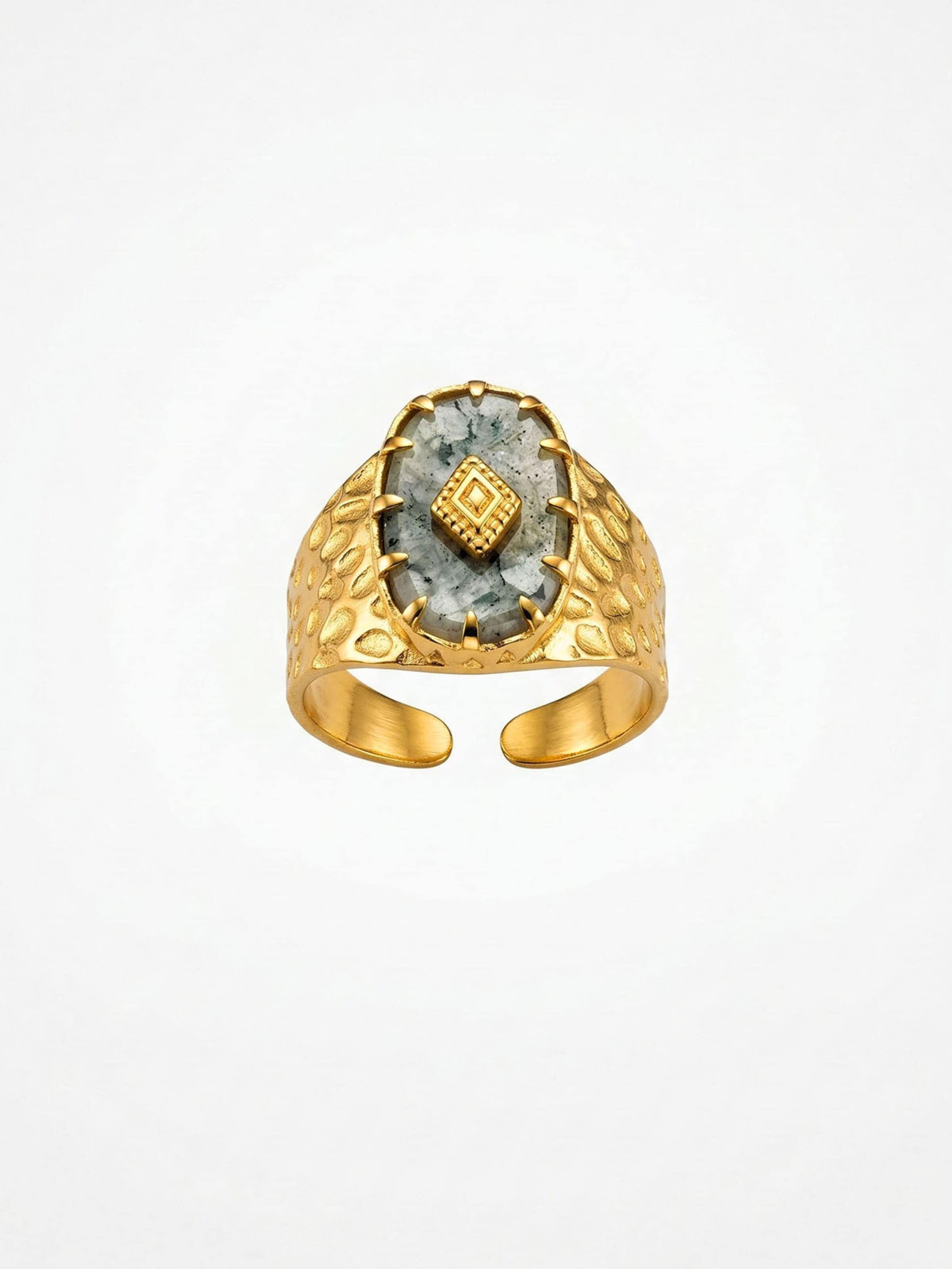 Nemomatheo Ring 'Mystic Relic – Breiter Ring mit Moos-Achat' in Gold: front