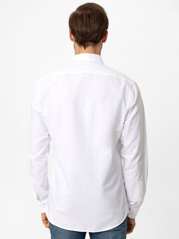 Dandalo Regular fit Button Up Shirt in Blue