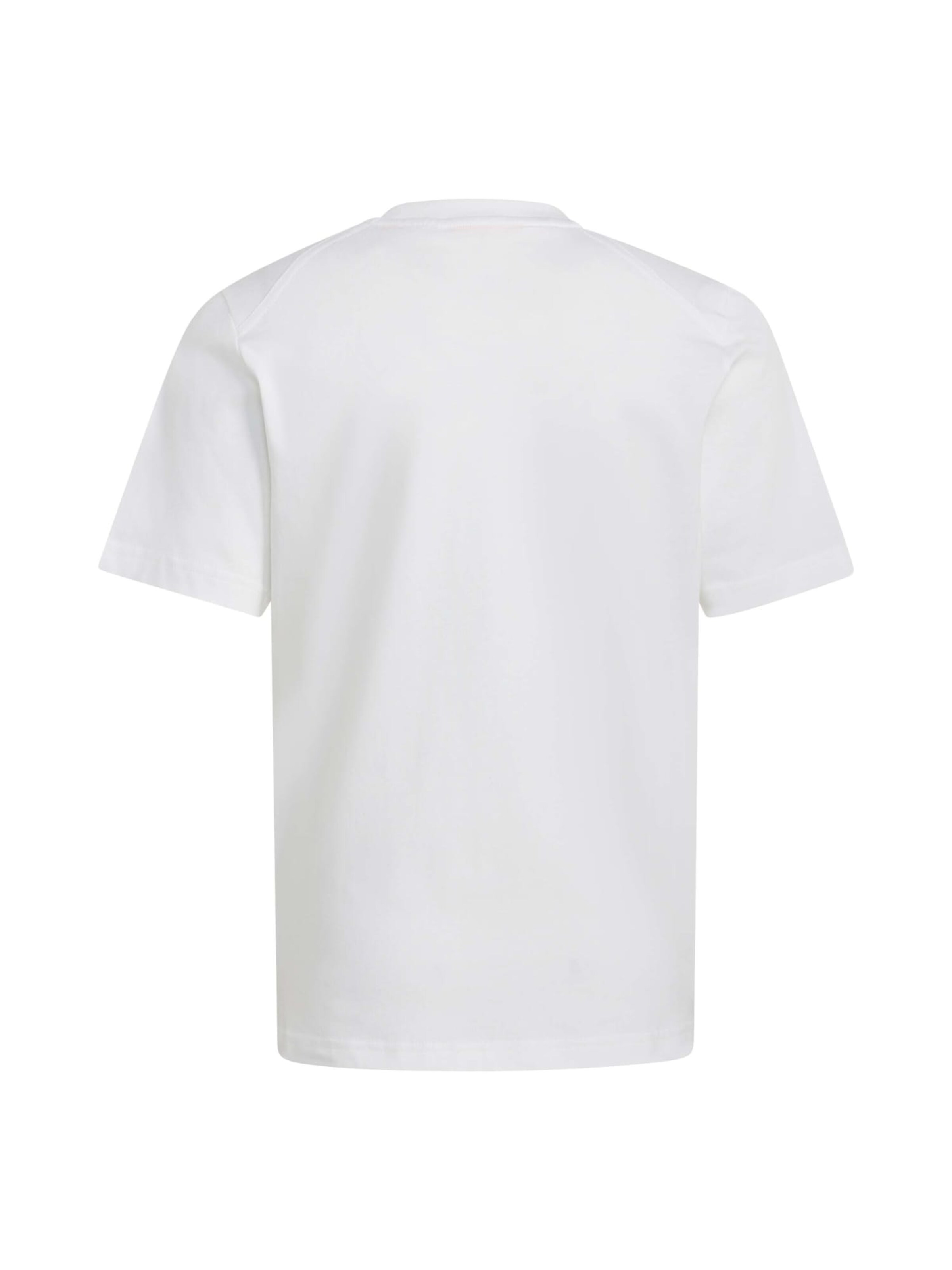 ADIDAS TERREXTehnička sportska majica - bijela boja