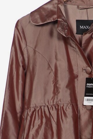 MAX&Co. Jacket & Coat in M in Brown