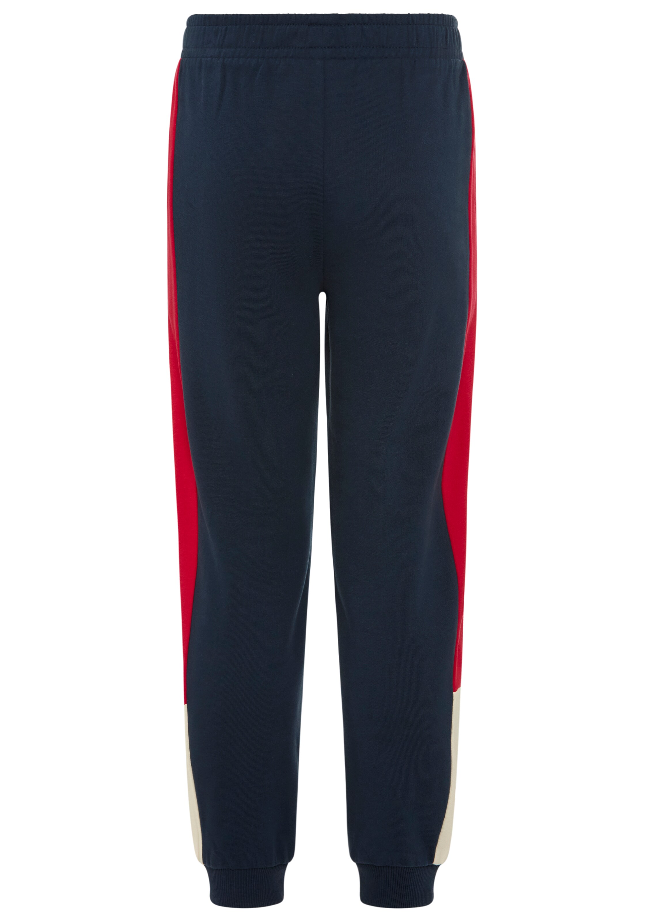 SCOUT Tapered Pants in Blue