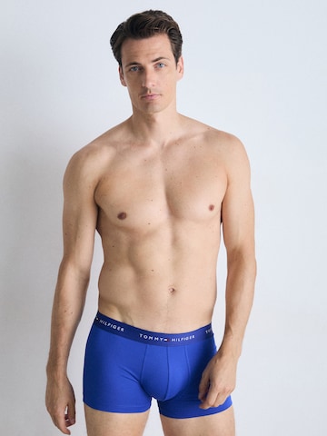 Tommy Hilfiger Underwear Bokserki w kolorze niebieski