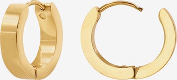 Heideman Earrings 'Caro' in Gold