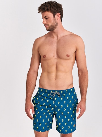 Shorts de bain Shiwi en bleu : devant