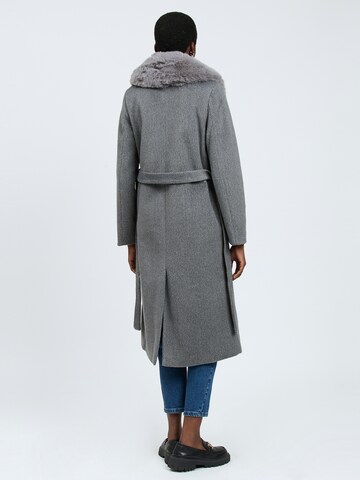 Influencer Winter Coat in Grey