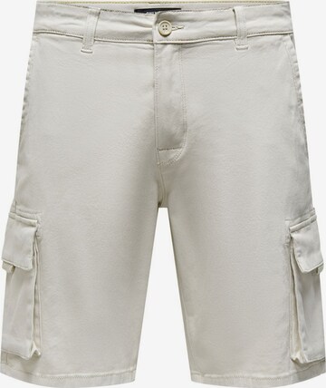 Pantalon cargo Only & Sons en gris : devant