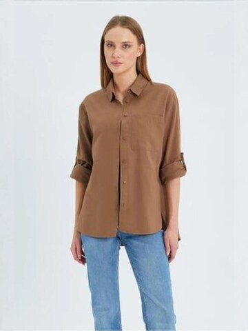 Chemisier MixRay en marron : devant