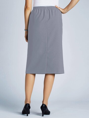 Goldner Skirt in Grey