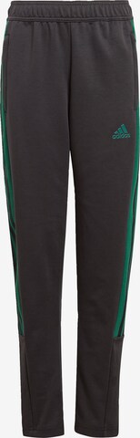 ADIDAS SPORTSWEAR Regular Workout Pants 'Tiro' in Black: front