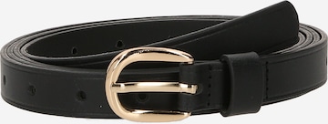 Guido Maria Kretschmer Women Belt in Black: front