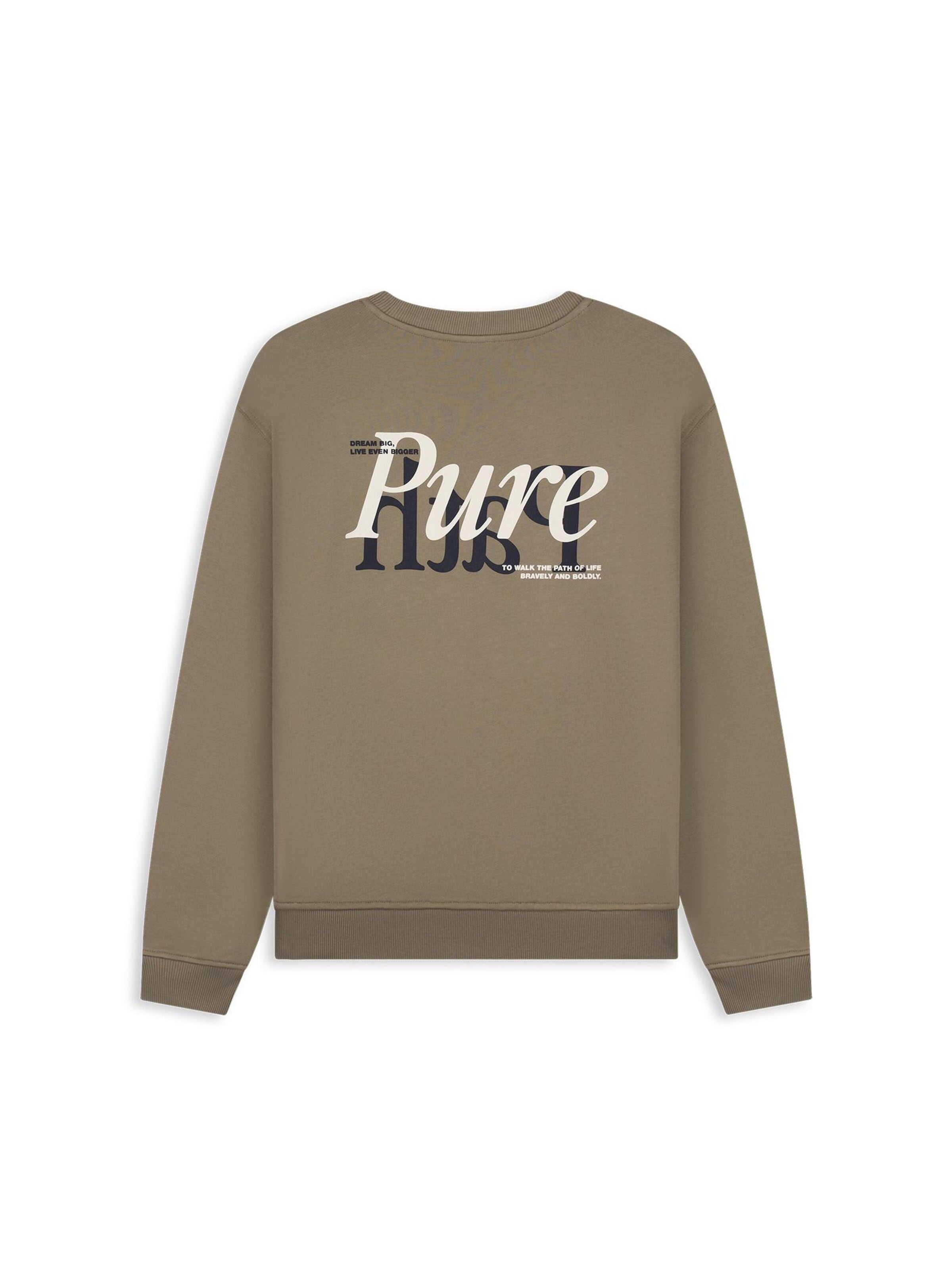 Sweat-shirt Pure Path en gris