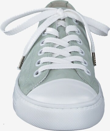 Paul Green Sneakers in Green