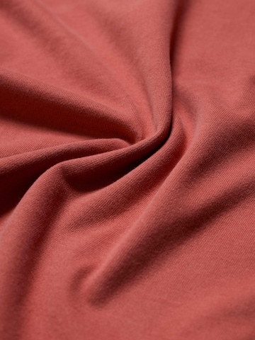 T-Shirt 'Merthen' Seasalt Cornwall en rouge