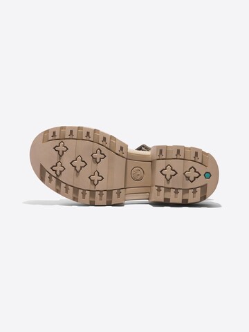 TIMBERLAND Sandalen met riem in Beige